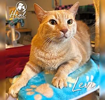 Photo of Levi