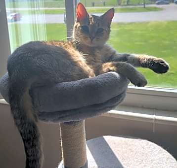 Photo of Nina