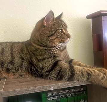 Photo of Max