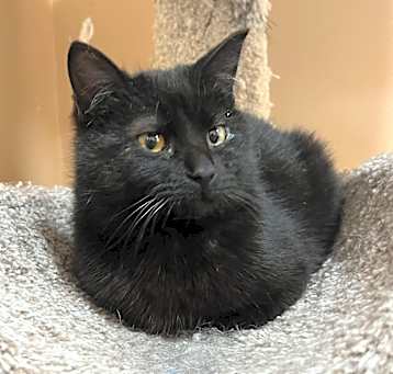 Photo of Binxx