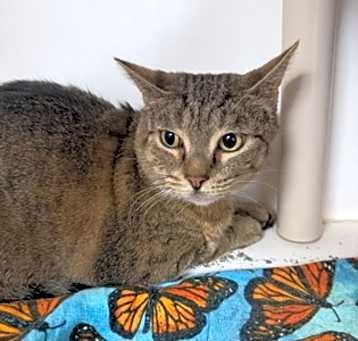 Photo of Molly