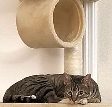 Photo of Lilly