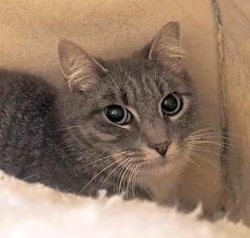 Photo of Disco