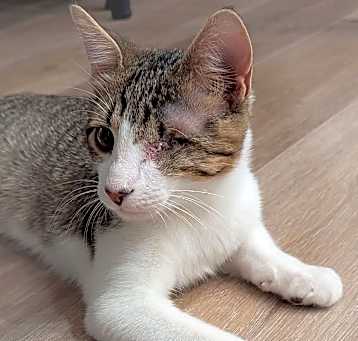 Photo of Reggie