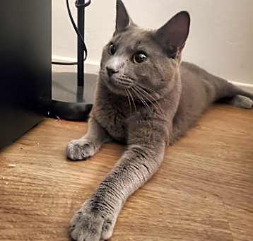Photo of Moka