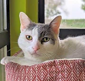 Photo of CINDER