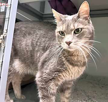 Photo of Minka