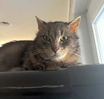 Photo of Bud