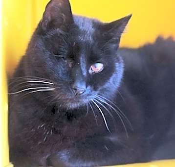 Photo of B.C. Winky