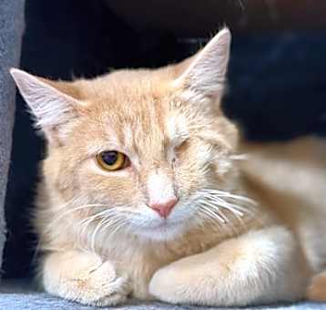 Photo of Captain Jack