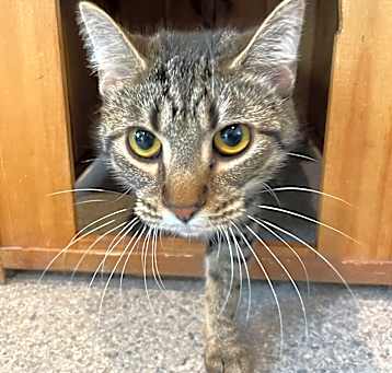 Photo of Miney