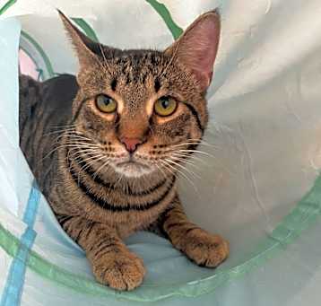 Photo of Meenie
