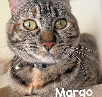 Photo of Margo