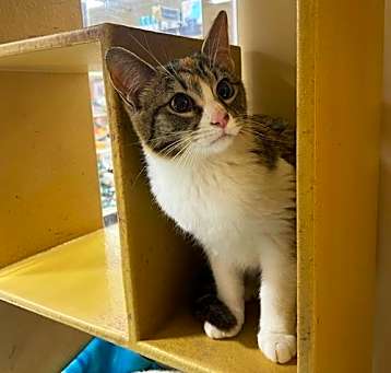 Photo of Tabitha