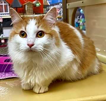 Photo of Rosie
