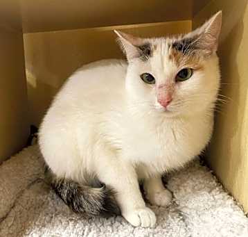 Photo of Penelope