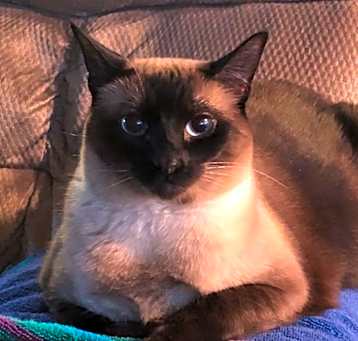 Photo of Margo