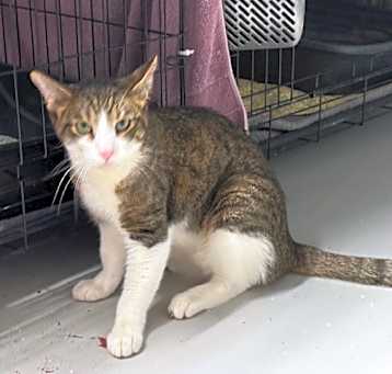 Photo of Timothy