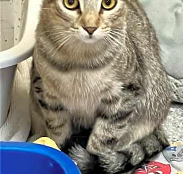 Photo of Dorothy