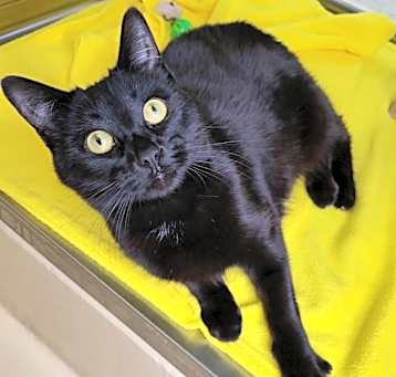 Photo of Bubs 41594