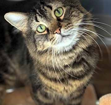 Photo of Cali