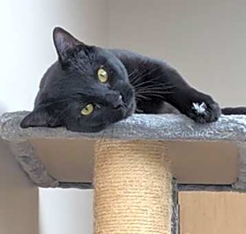 Photo of Charlie