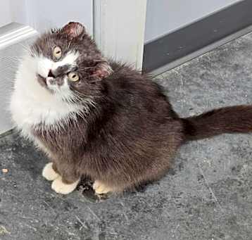 Photo of Dorothy