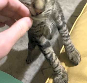 Photo of Cloudy