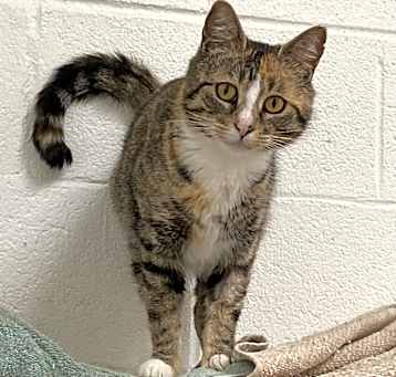 Photo of Buffy
