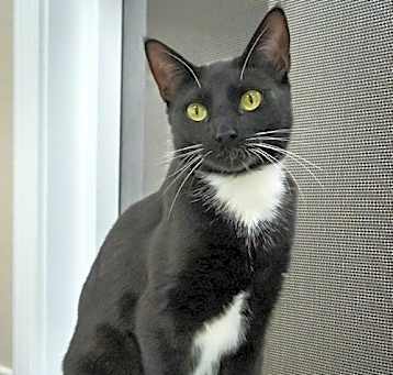 Photo of Princess