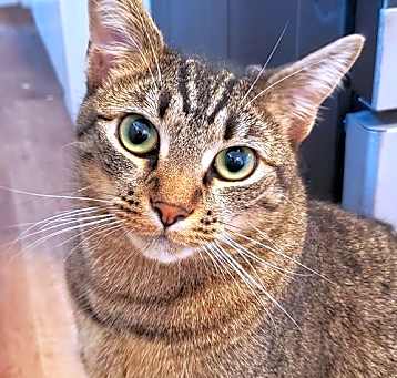 Photo of Tarka