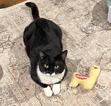 Photo of Muzz