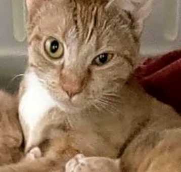 Photo of Meadow