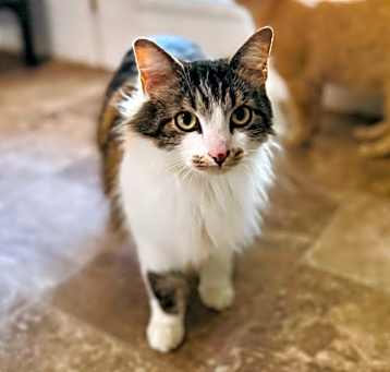 Photo of Beatrice