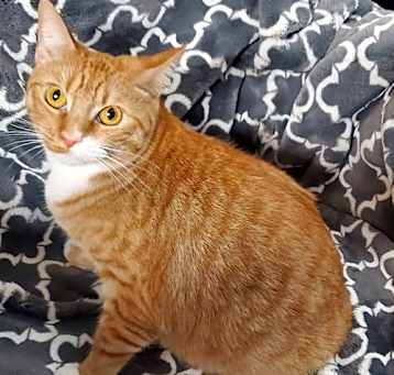 Photo of Callie