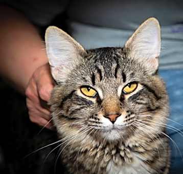 Photo of Loco