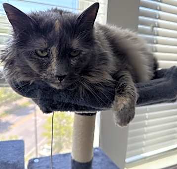 Photo of Marly