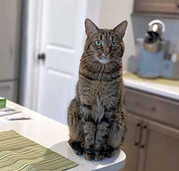 Photo of Sugar Max