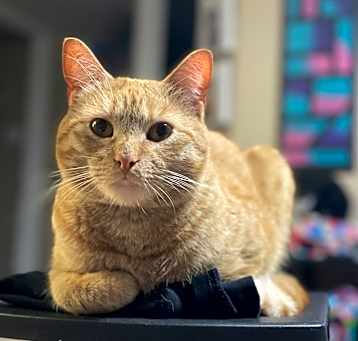 Photo of Bruce