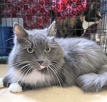 Photo of Murphy