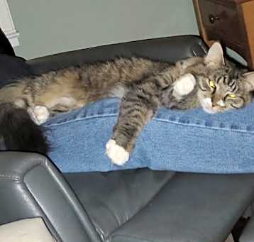 Photo of Tabitha