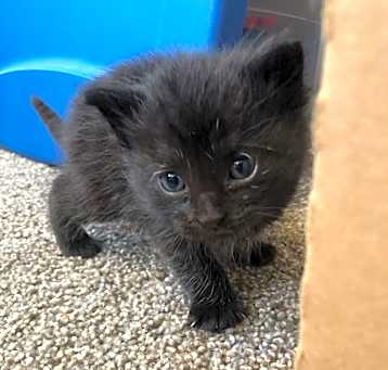 Photo of Blinky