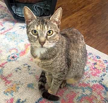 Photo of Pippa