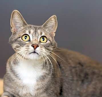 Photo of Maya
