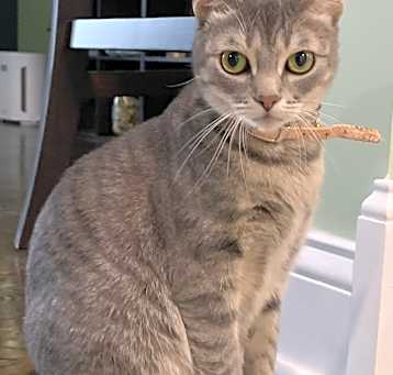 Photo of Sugar