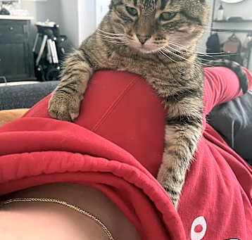 Photo of Sydney