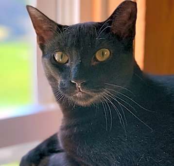 Photo of Sammy