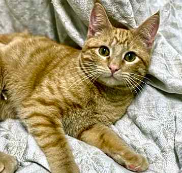 Photo of Crusoe