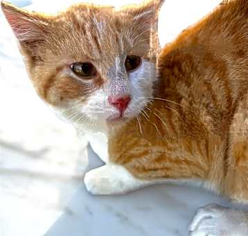 Photo of Tadd