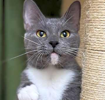 Photo of Agatha